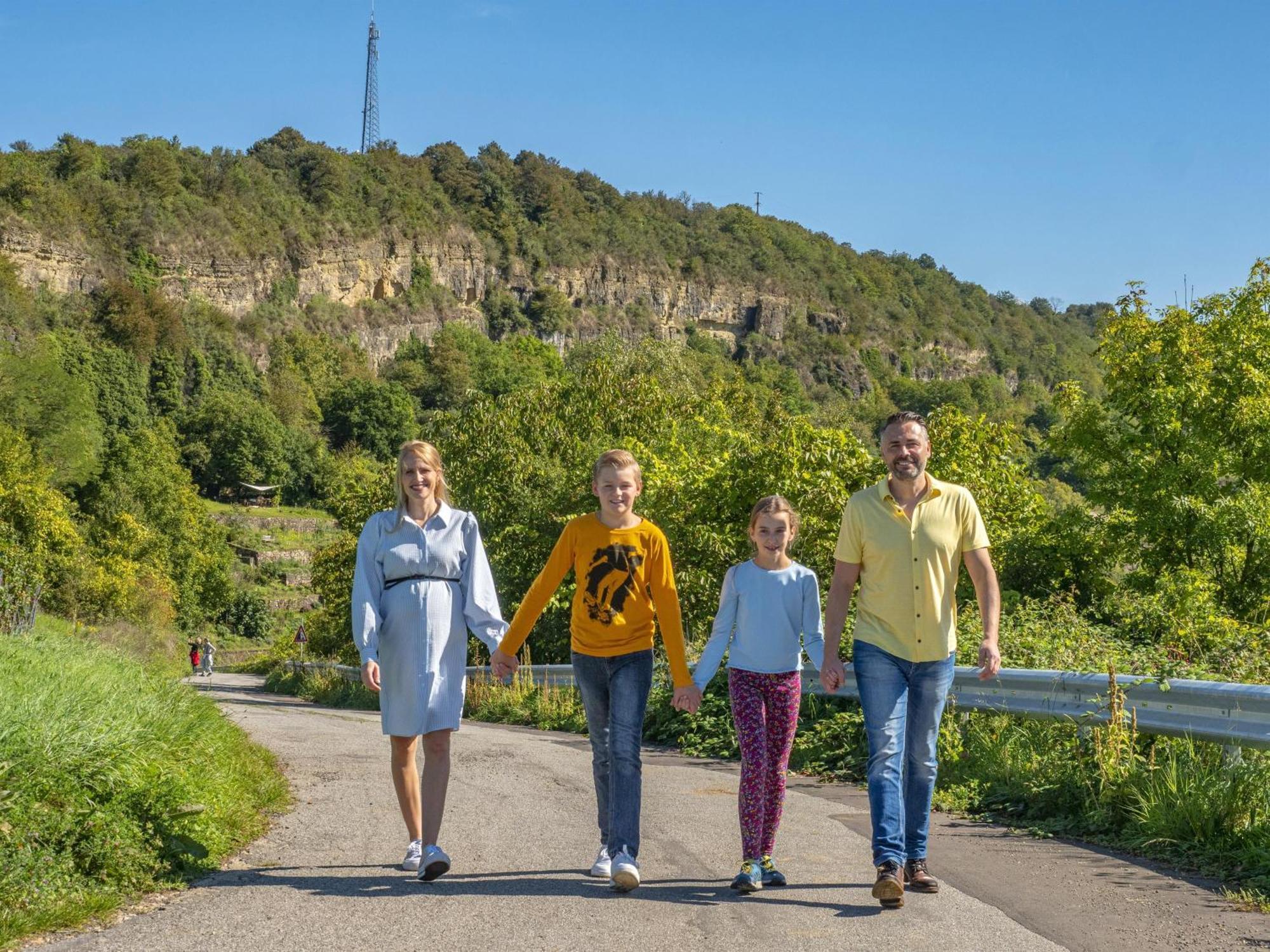 Appartements Im Weingut Frieden-Berg Ниттель Экстерьер фото